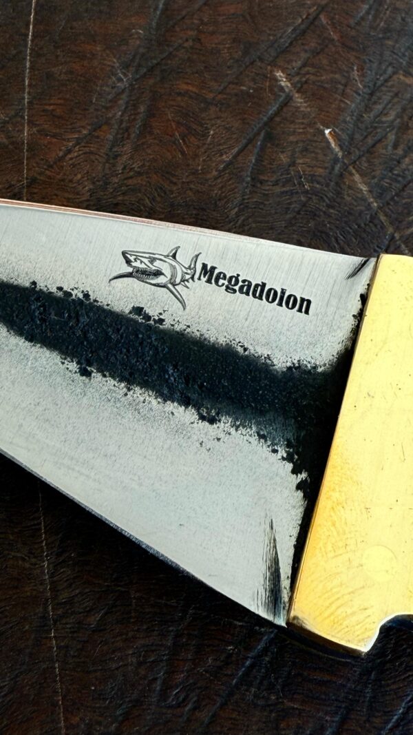 MEGALODON - Imagen 3
