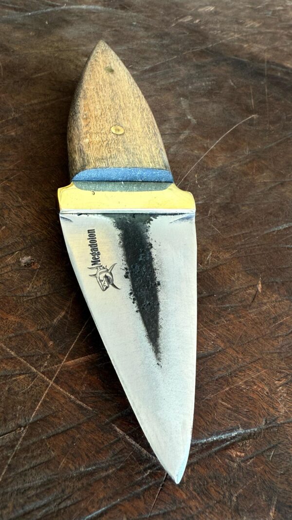 MEGALODON - Imagen 4