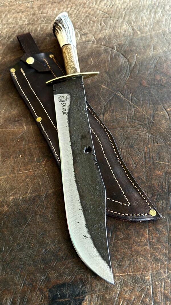 BOWIE SALVAJE