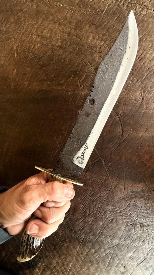BOWIE SALVAJE - Imagen 4