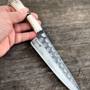 SABALO